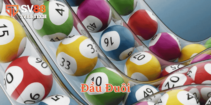 Đầu Đuôi là gì?